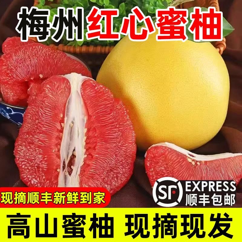 （顺丰包邮）正宗梅州红心蜜柚鲜嫩多汁酸甜脆口新鲜采摘