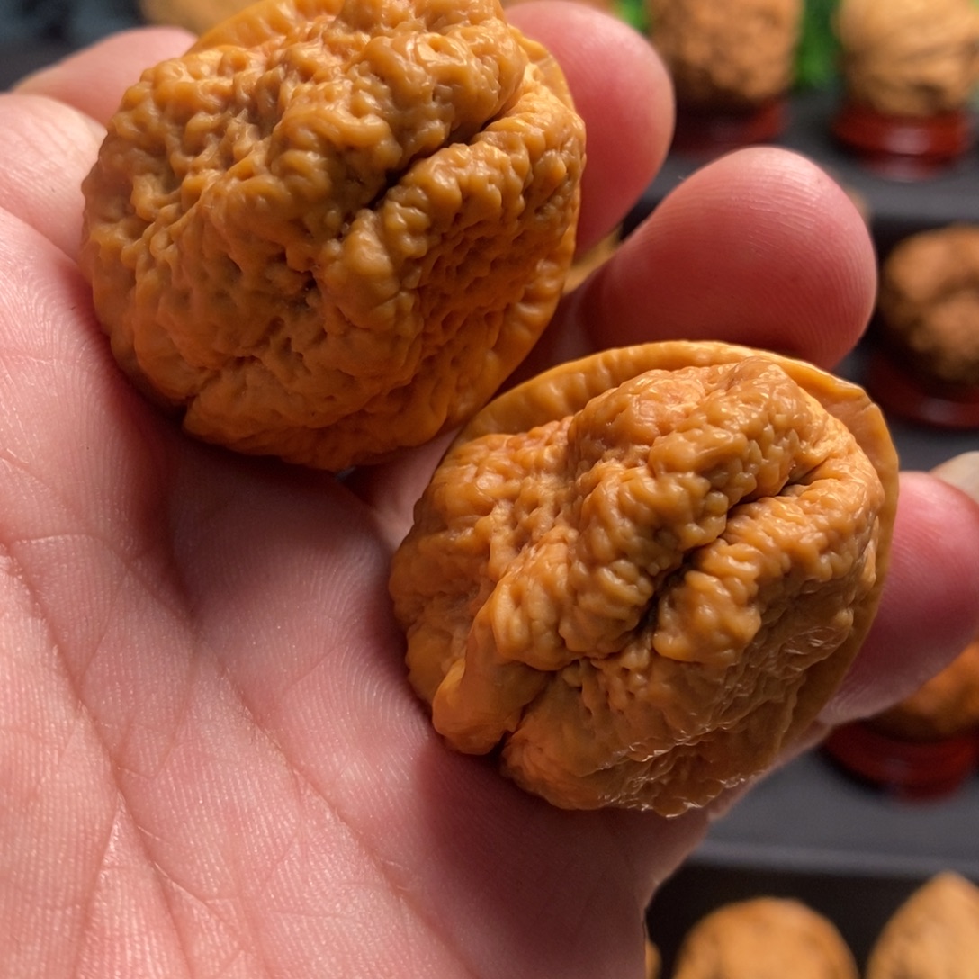 文玩核桃吊坠临沧古蟾王42尺