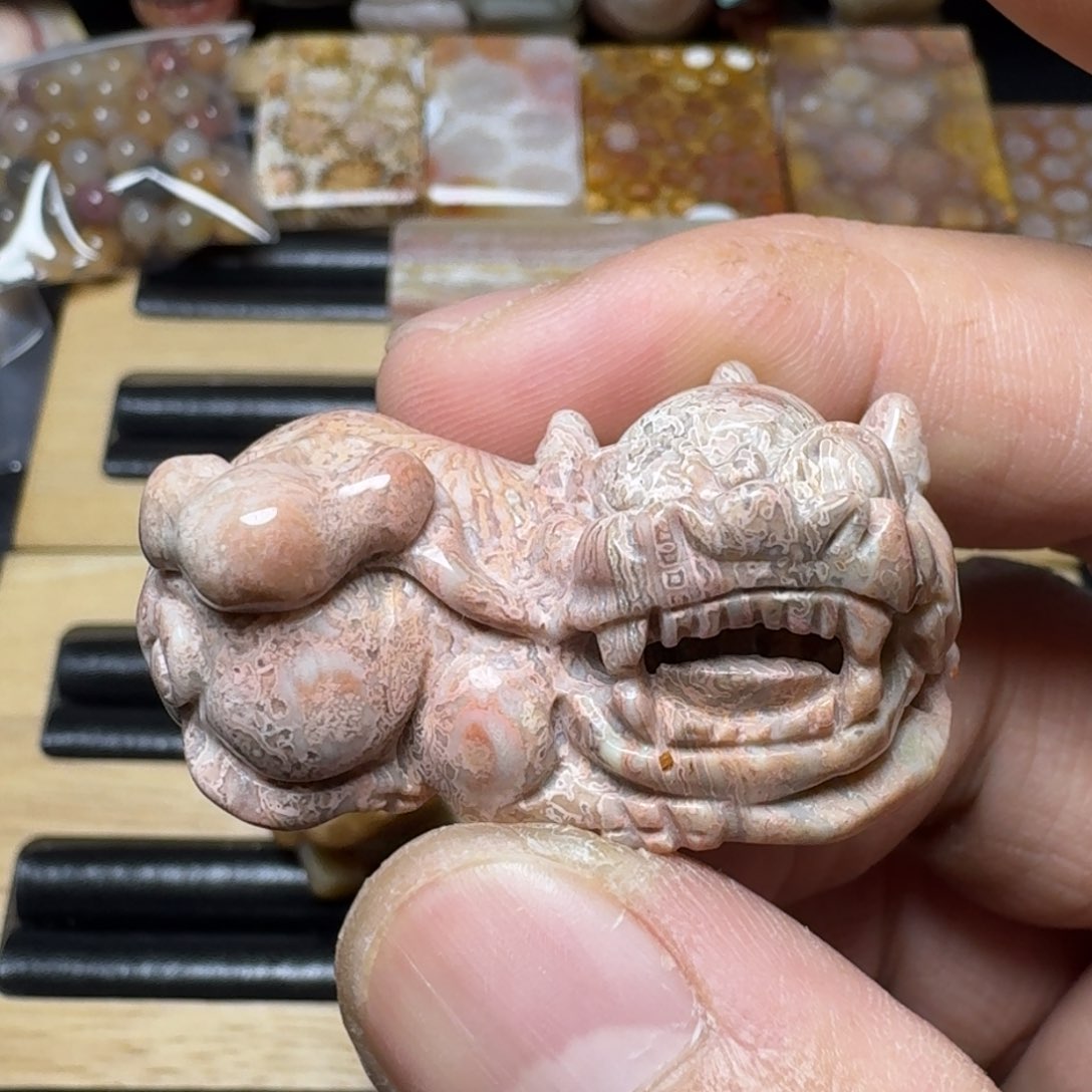 硅化珊瑚（珊瑚玉）纯天然色有机玉石未镶嵌