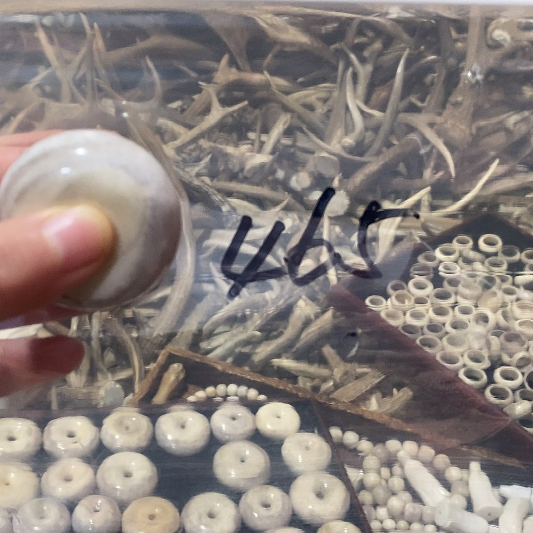 瑩***児非金属鹿角鹿角鹿角