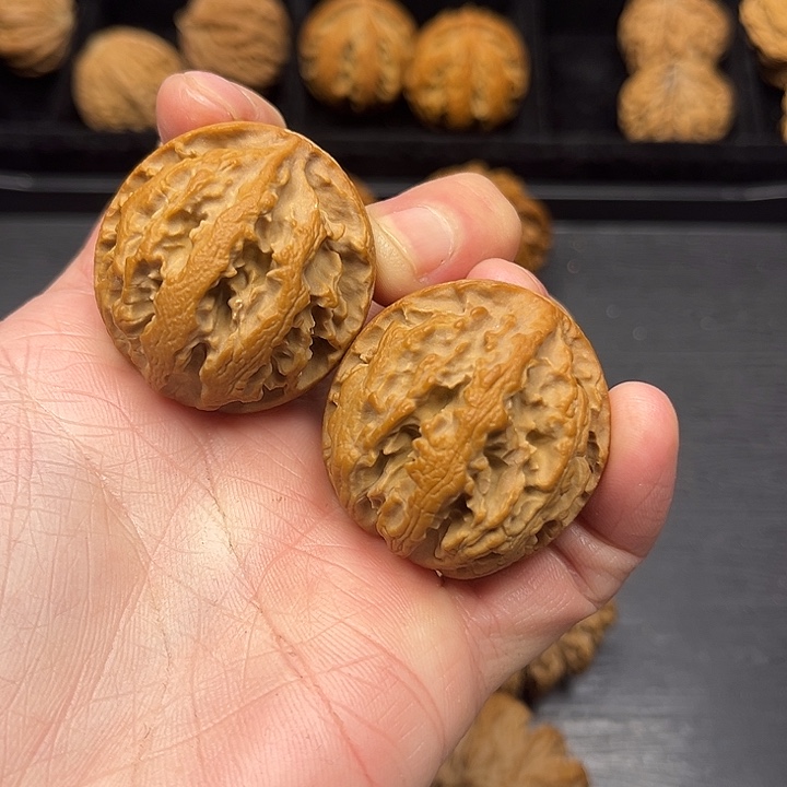 核桃突突突突突突突突突突