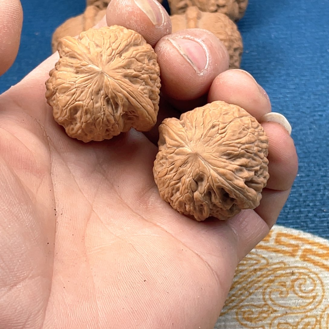 36尺寸全品无修铁锤