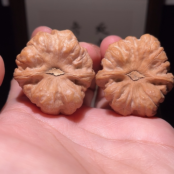 手串/手链核桃24004