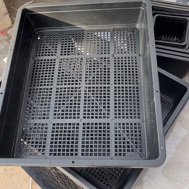 黑育苗盘37㐅30 X7一组6