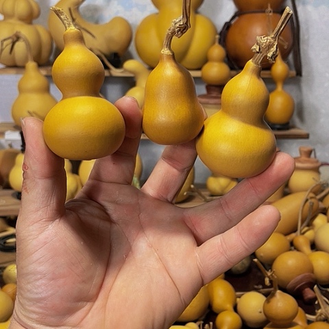 精品厚皮小八宝葫芦