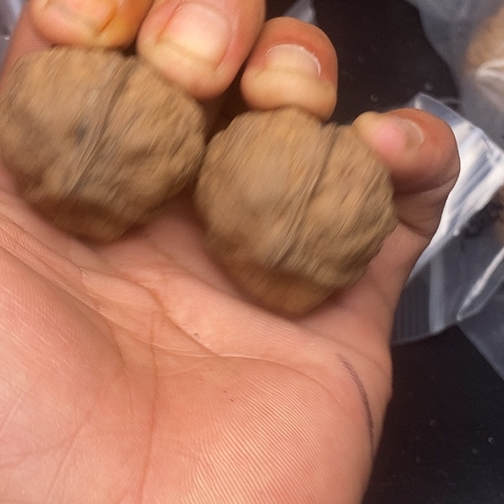 吊坠文玩核桃       106