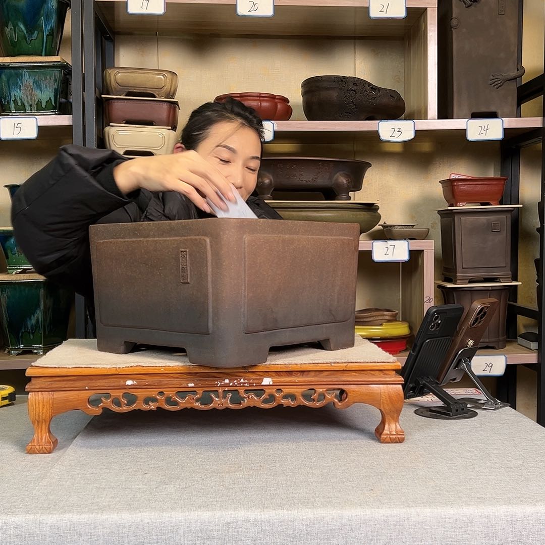 紫砂花盆风**明5566955889695899