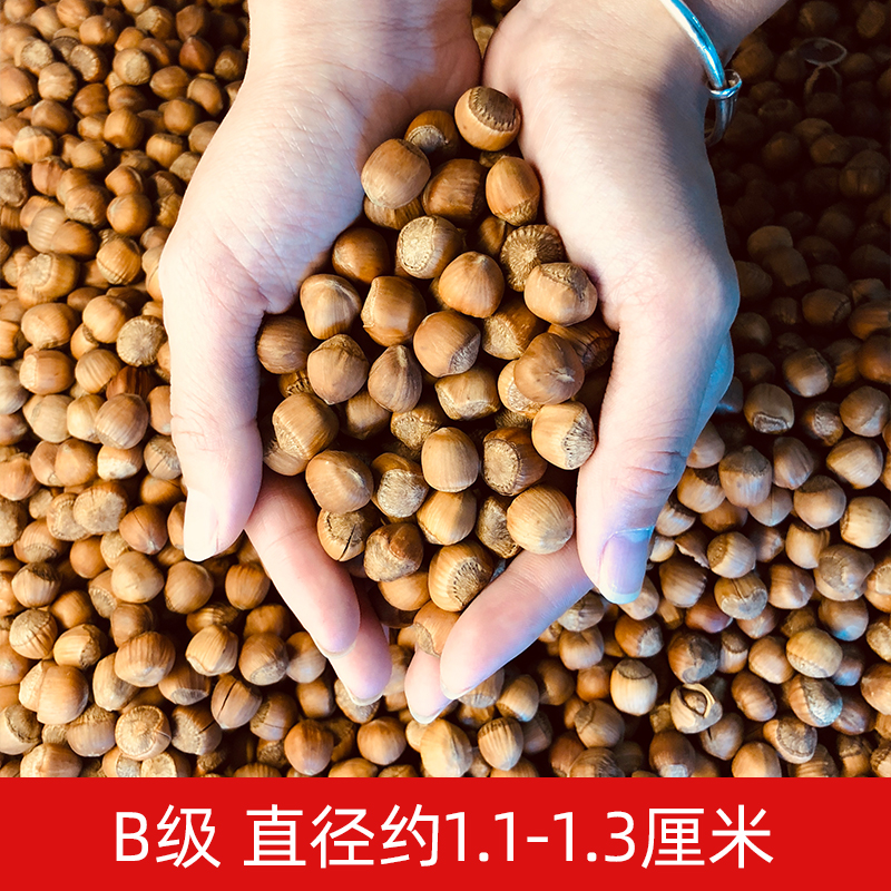 【野生小榛子】东北特产铁岭开原榛子水漏手拍榛子坚果零食