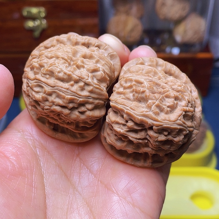 文玩核桃把件白狮子