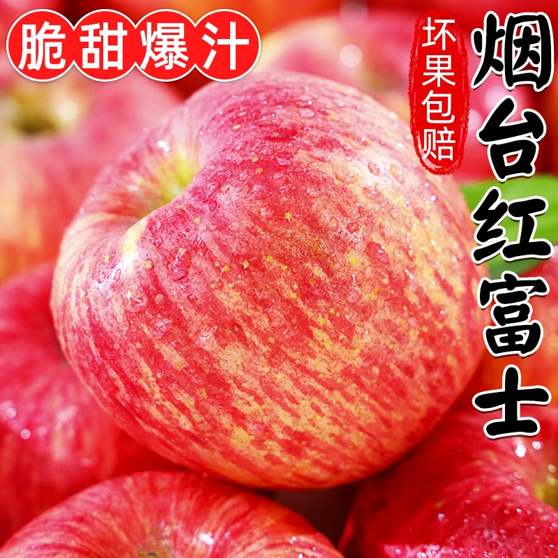 【坏果包赔】山东烟台红富士苹果新鲜红富士苹果水果甜苹果