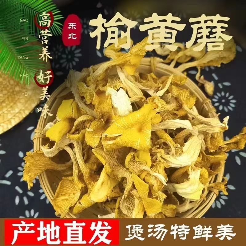 【东北特产】东北野生榆黄蘑2025新货菌香浓郁营养美味20g/袋