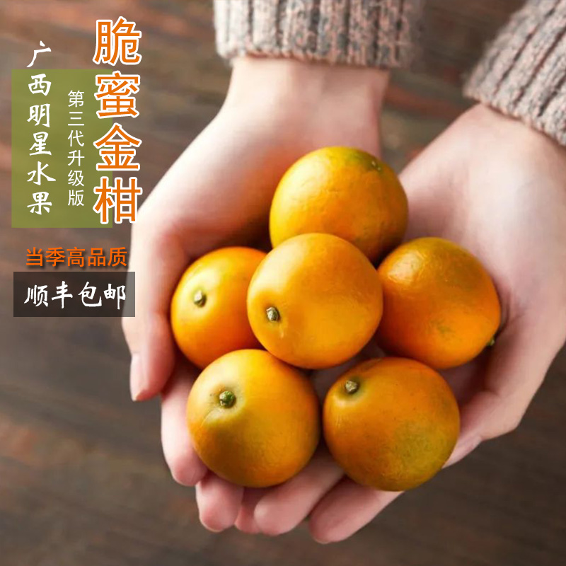 广西第三代纯甜无籽金桔脆蜜金桔金柑无核当地现摘现发新鲜大水果
