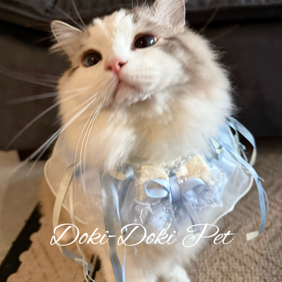 【雾霾蓝·Doki】仙气飘飘长飘带蝴蝶结布偶猫咪狗狗围脖口水巾