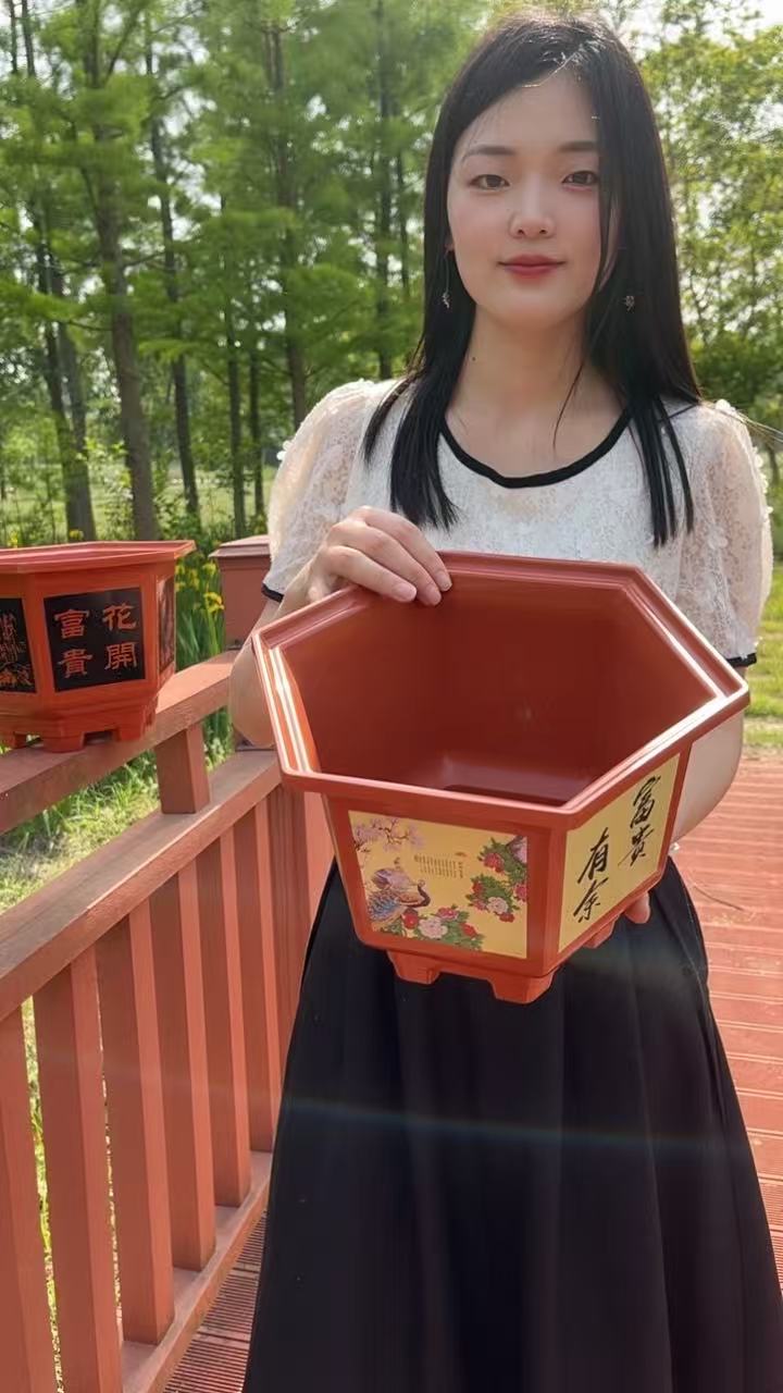 3个装【对角口径25 高17左右】送托盘六角黑花彩花加花盆树脂PP材质