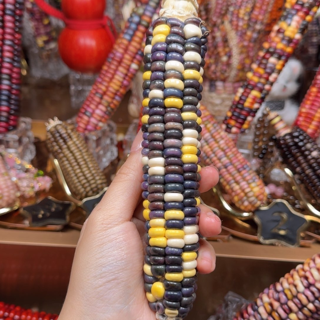 吊坠柏香籽/百香籽