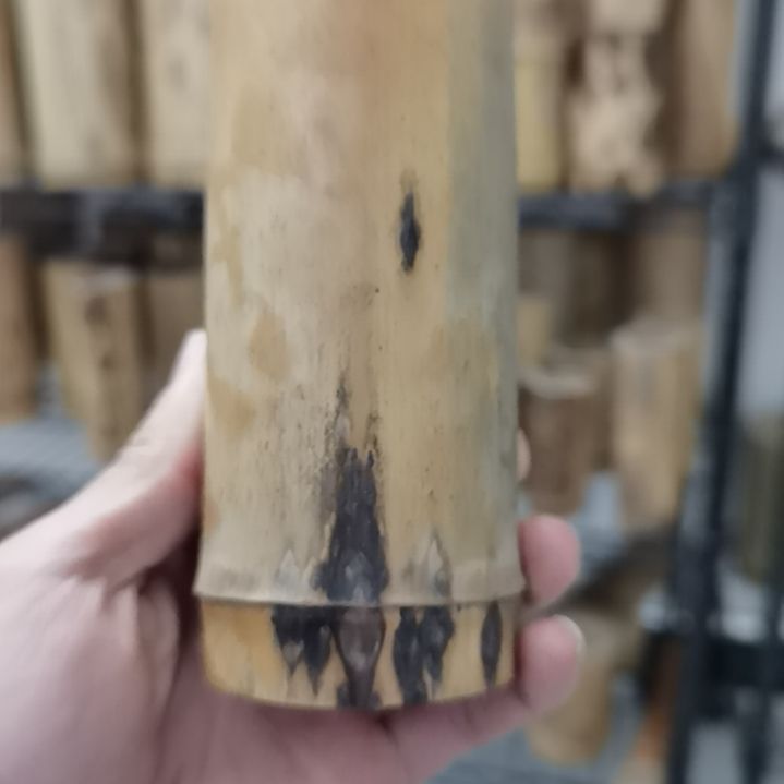 兴纯天然凤眼花斑竹