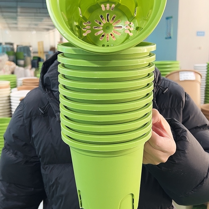 清仓圆形控根口15高15果绿色10个无托