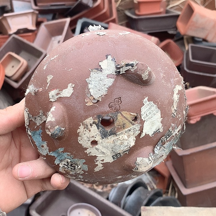 紫砂我要不就是你一定