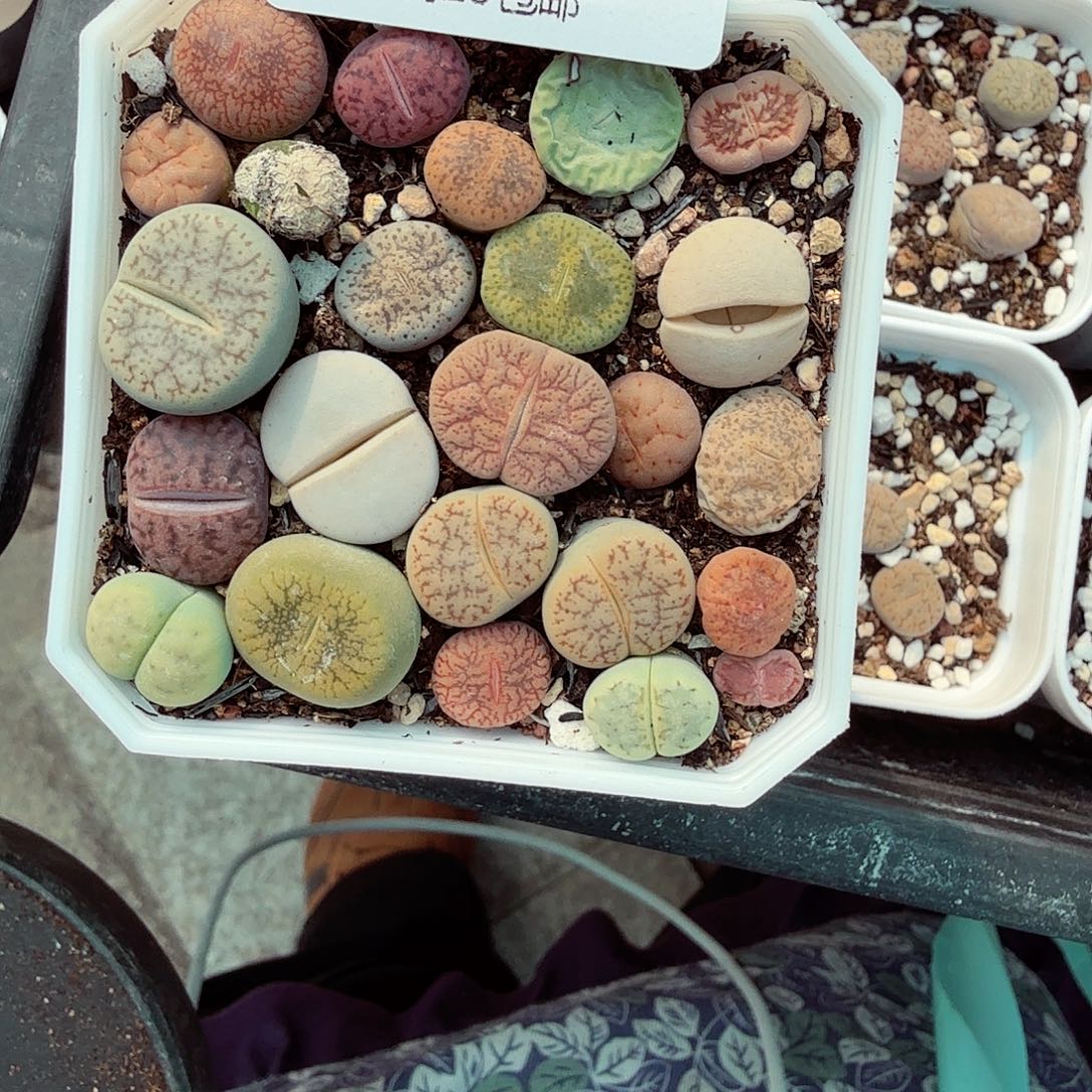 好看我好期待这几693