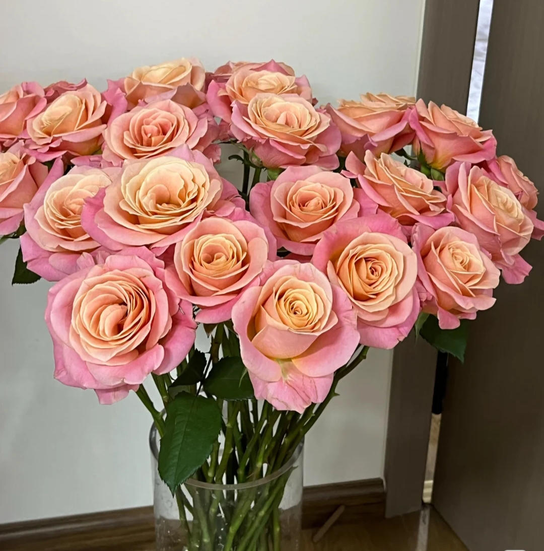 【朱小姐】  本店任意两单包邮  云南基地鲜花直发