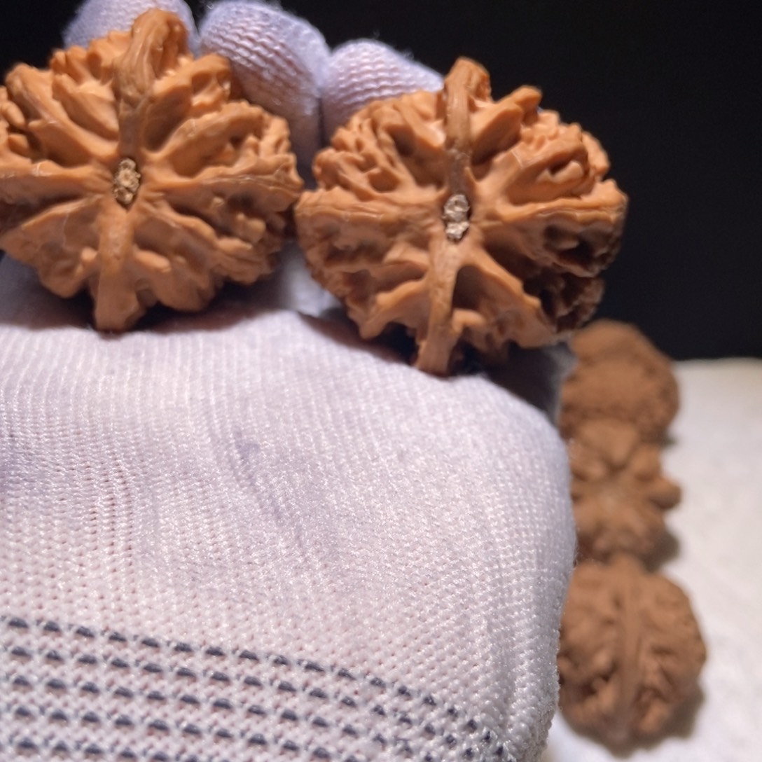 h***發极品苹果园，44尺 