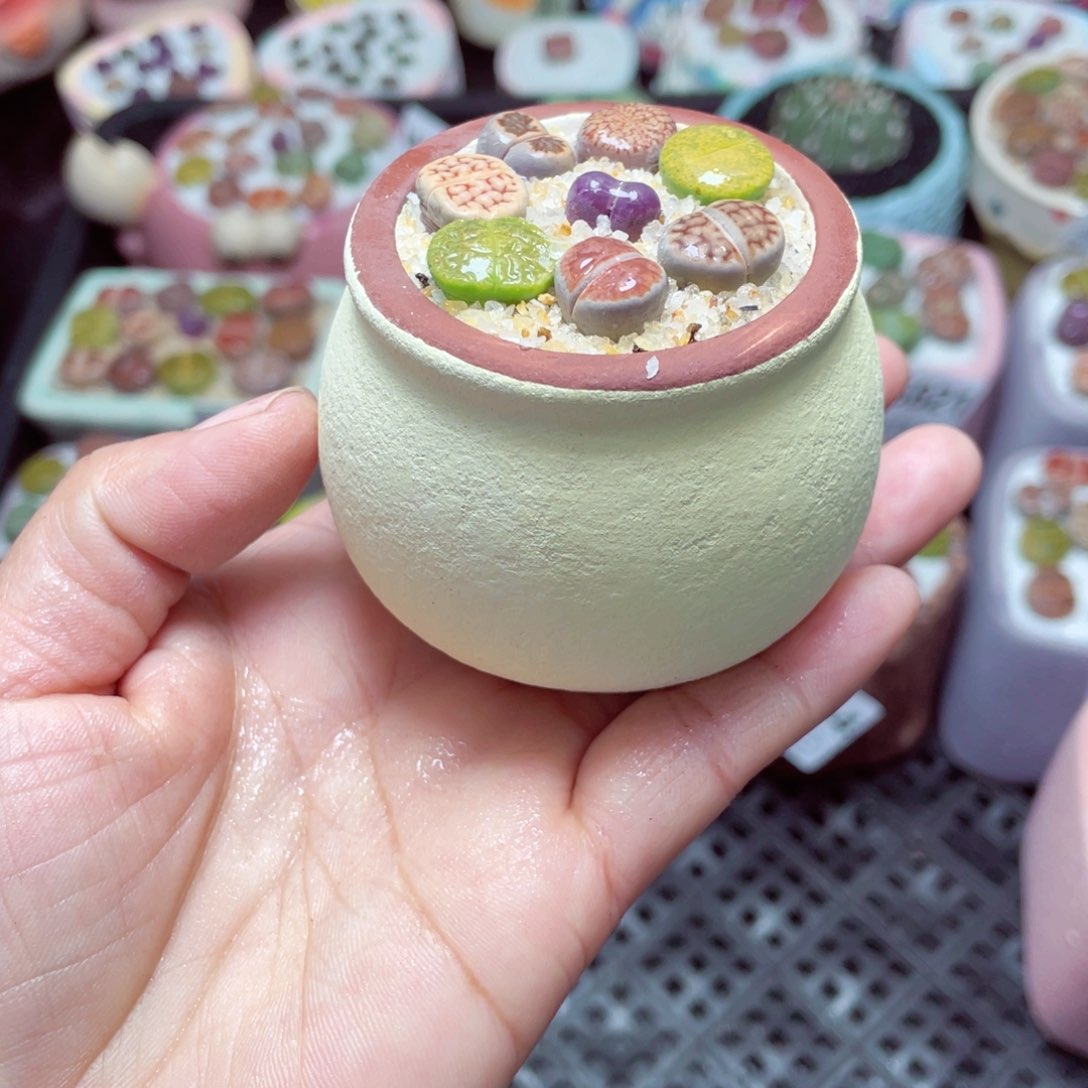 w5828 -零下地区拍保温箱-15支持寄养