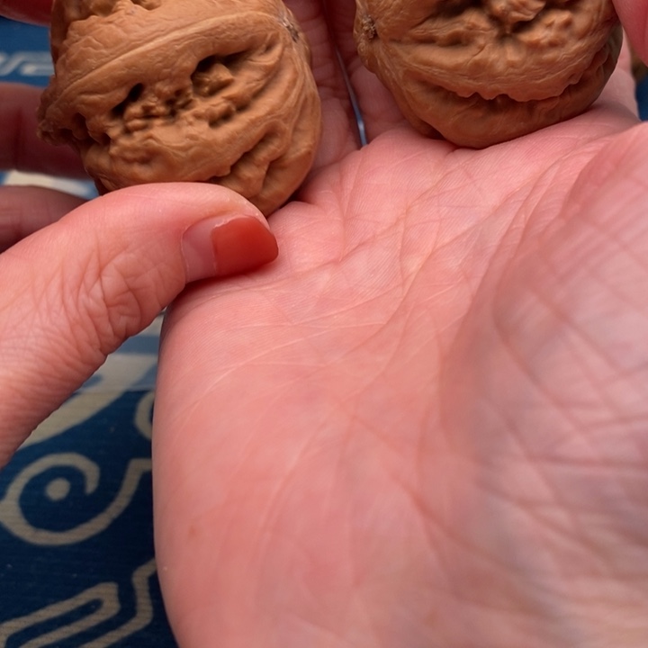 ╭***行文玩核桃吊坠文玩核桃文玩核桃