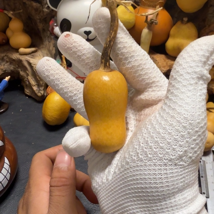 暖***笑坑666666666666666