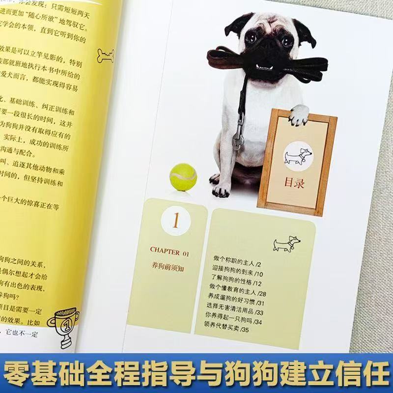 教你如何挑选和训练技能