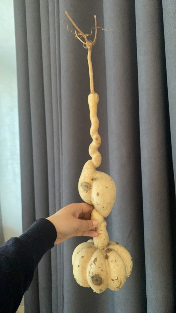 花墩如意葫芦专用链接