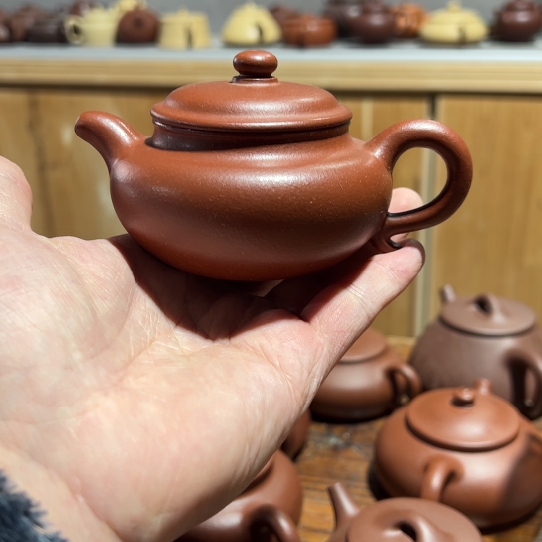 …………………………………………………………