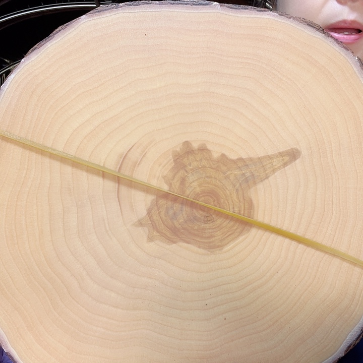 木银杏木菜板整木整切