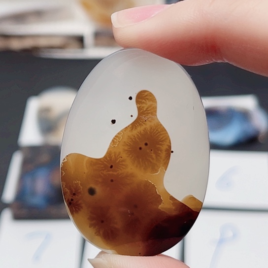 玛瑙/玉髓珠宝奇石未镶嵌