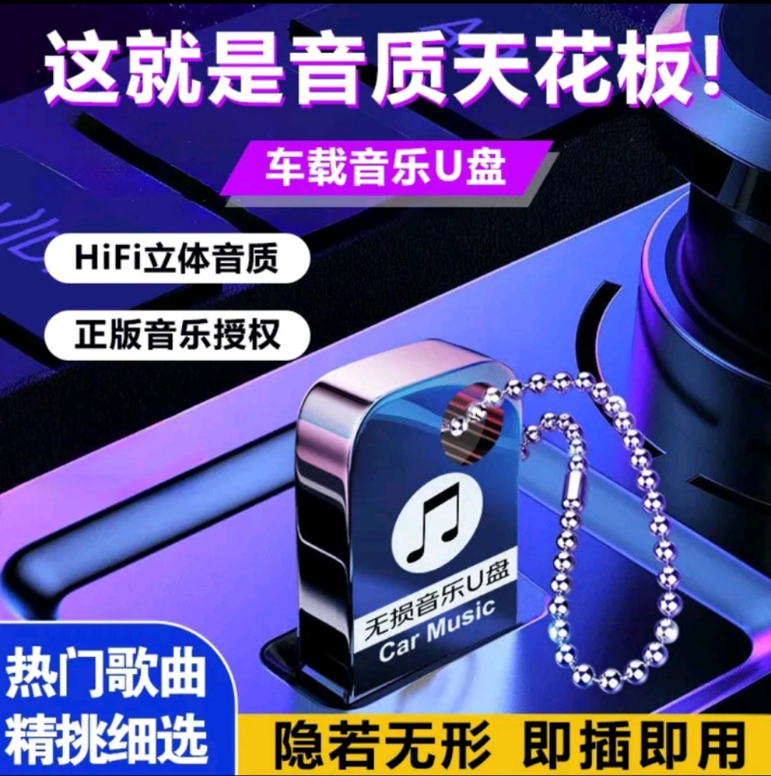 【2025畅销版】车载U盘，母源灌入，无损正版，专属链接五