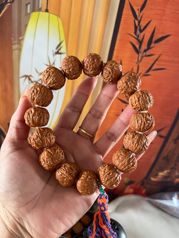 野生小核桃小手持尺寸24