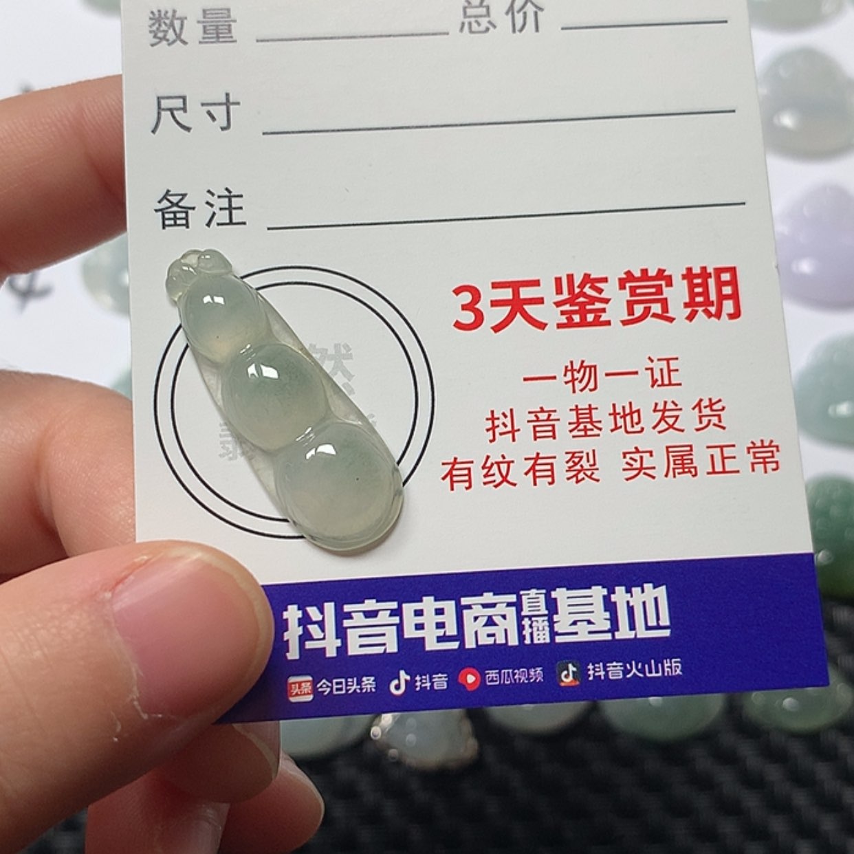 【闪购商品】翡翠颈饰未镶嵌豆子