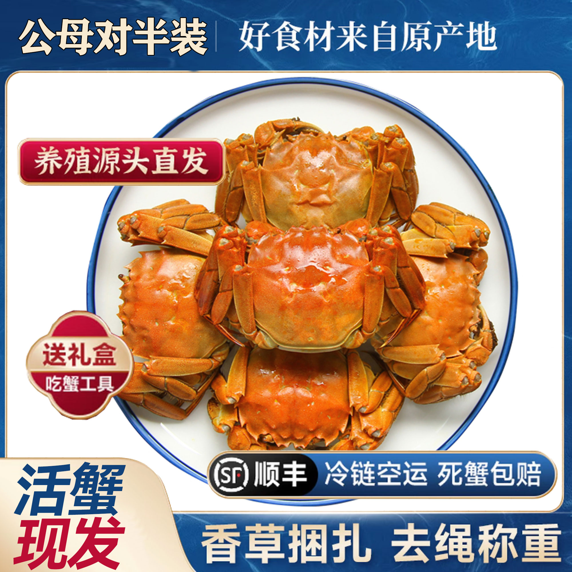 【江苏活蟹】大闸蟹公4.3-4.0两 母3.3-3.0两6-10只礼盒装顺丰包邮P