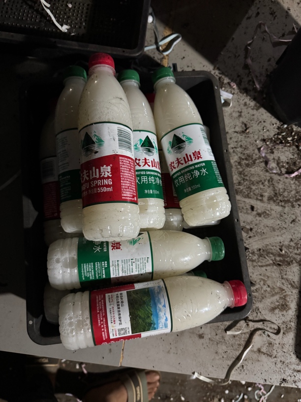 桃蛋多肉杀菌药治疗真菌类感染（两瓶）