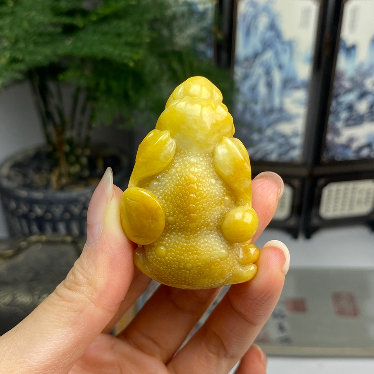 黄翡鸡油黄三脚金蟾挂件摆件茶宠 天然翡翠A货 