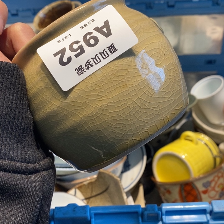 我****哈哈哈哈哈哈哈哈