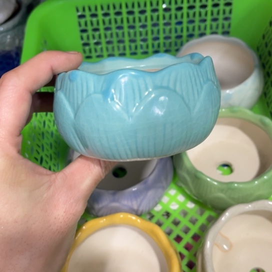 ［所有订单凑满15发］8×5