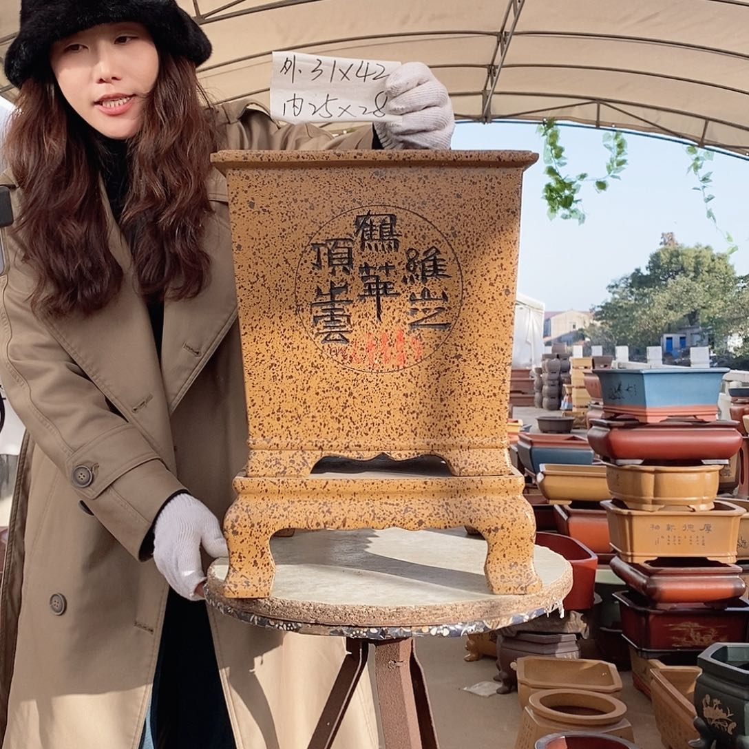 花盆紫砂紫砂花盆