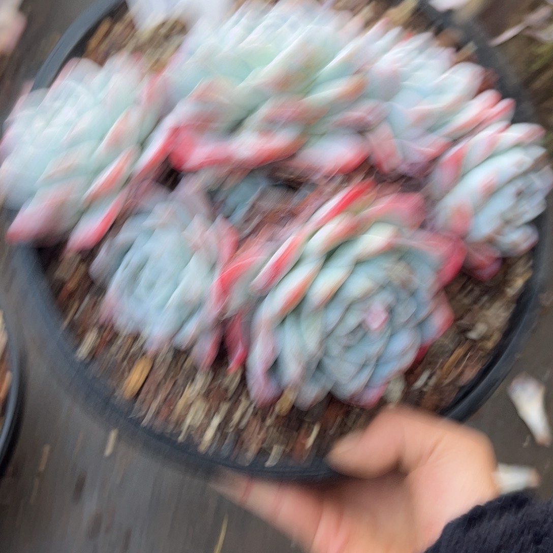 12-40              