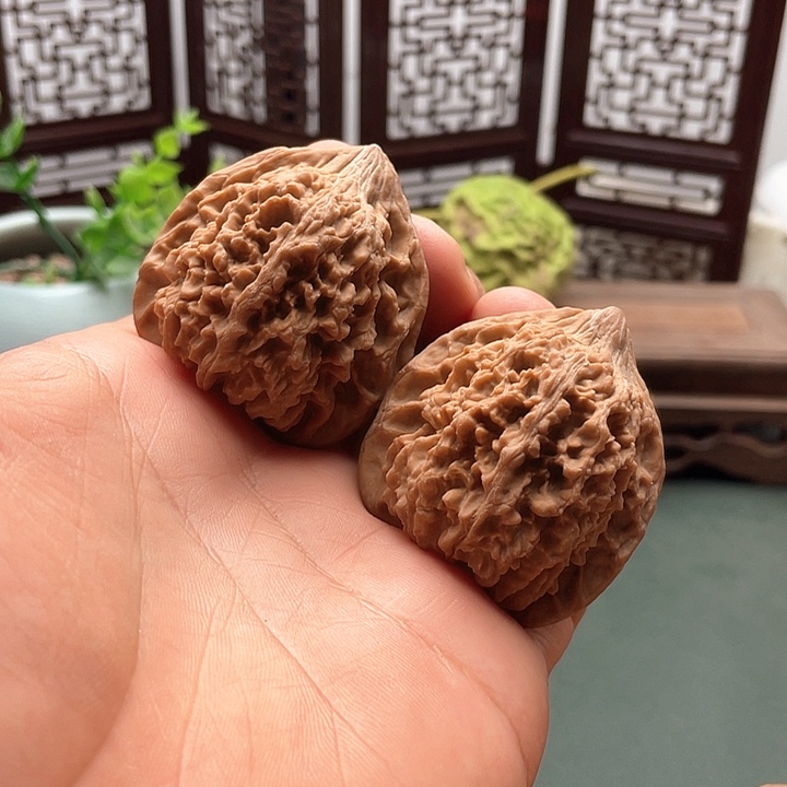 文玩核桃把件满天星