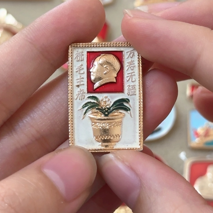 红色收藏直播像章