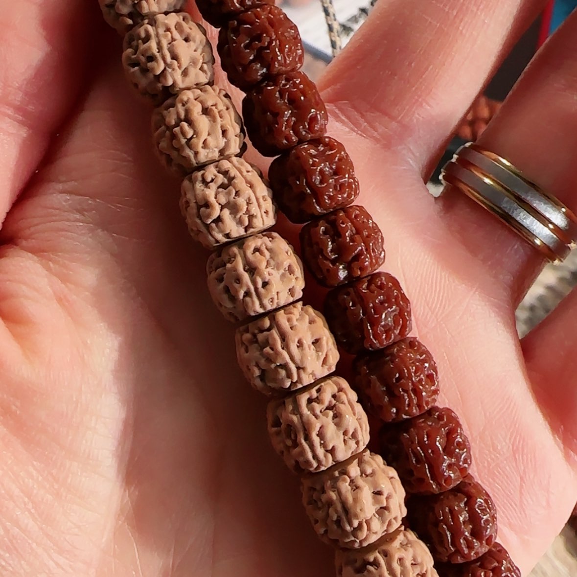 【闪购商品】吊坠金刚菩提一代盘龙一等➕➕➕福利11尺寸