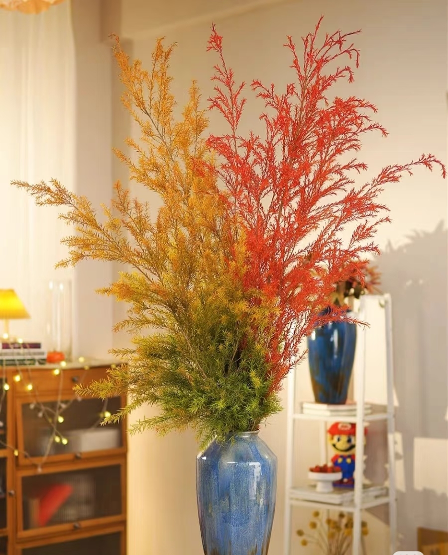 【千层金】黄金香柳 高端小众花材 自带氛围感 可做干花