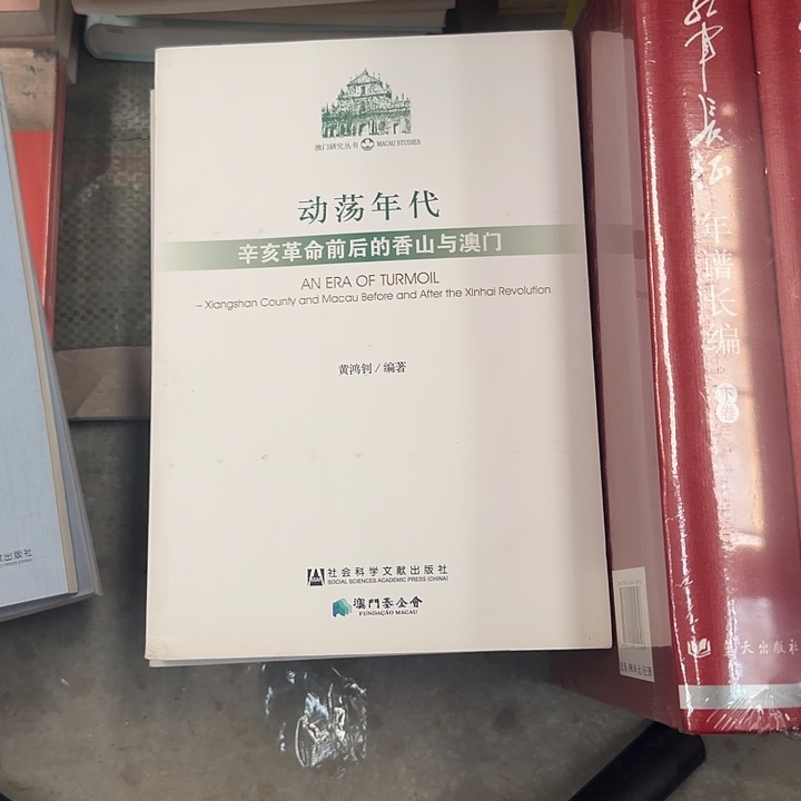 红***子动荡年代瑕疵书介意勿拍