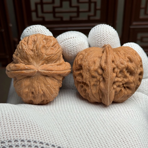 精选平谷元宝狮子头，肚42边39高35， 山地老树果，骨质好克重足全品