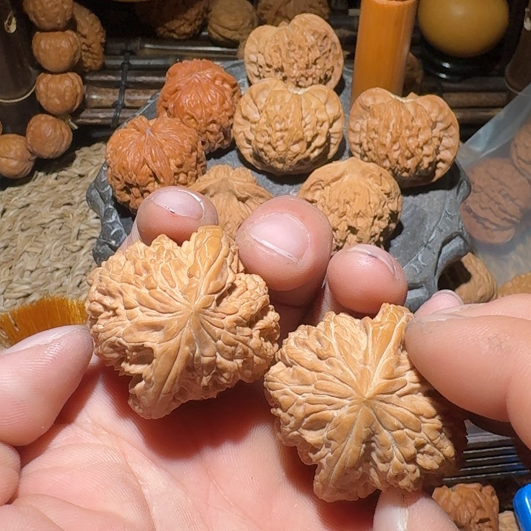 核桃蓟县山地暴雪